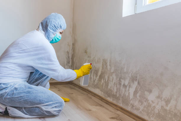 Licensed Bathroom Mold Removal service in Parker Ford, PA - WQB Mold Removal