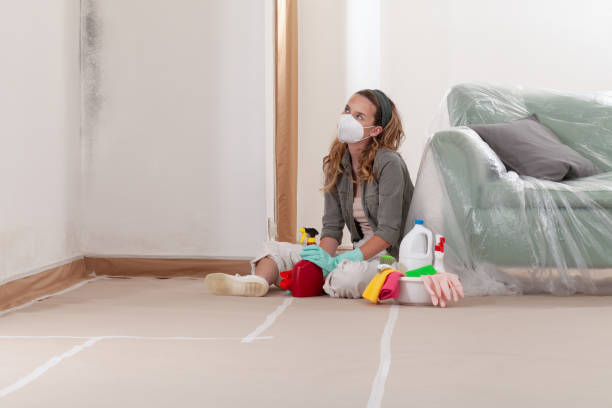 Reliable Bathroom Mold Removal contractor in Parker Ford, PA by WQB Mold Removal
